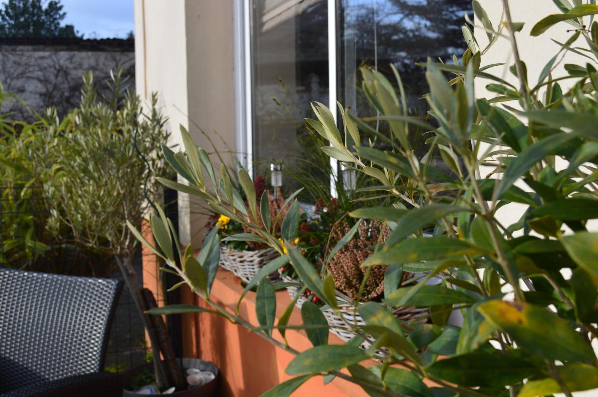 Logis Hotel & Restaurant La Paix Le Nouvion-en-Thierache Εξωτερικό φωτογραφία
